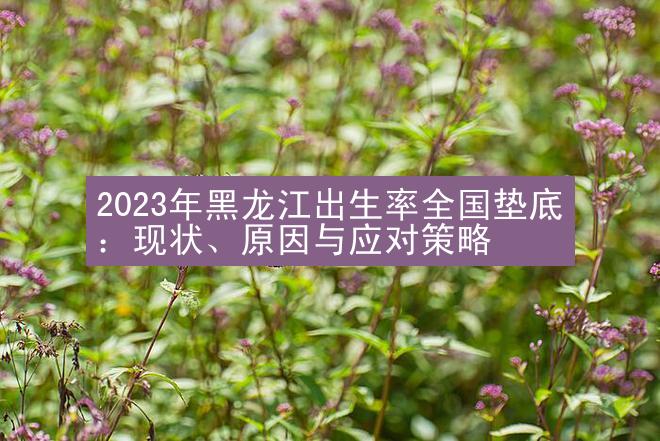 2023年黑龙江出生率全国垫底：现状、原因与应对策略