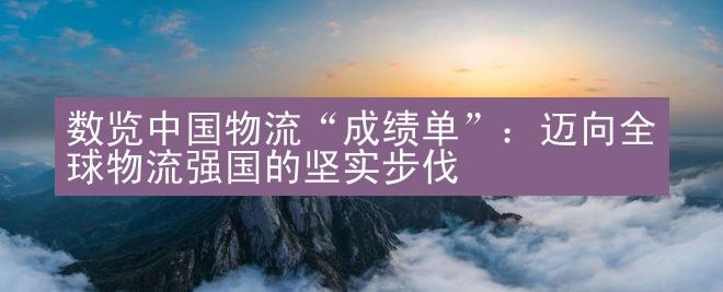 数览中国物流“成绩单”：迈向全球物流强国的坚实步伐