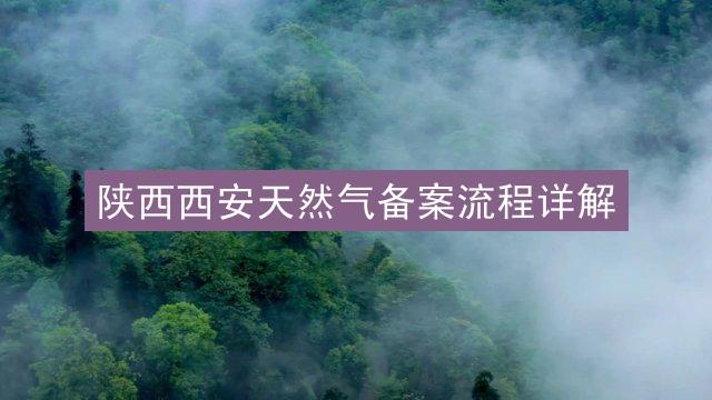 陕西西安天然气备案流程详解