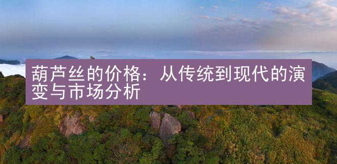 葫芦丝的价格：从传统到现代的演变与市场分析