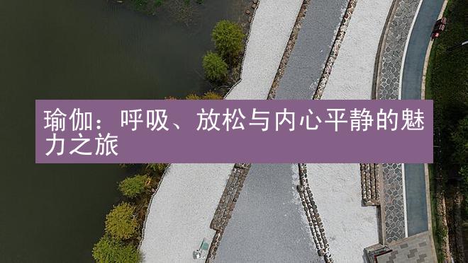 瑜伽：呼吸、放松与内心平静的魅力之旅