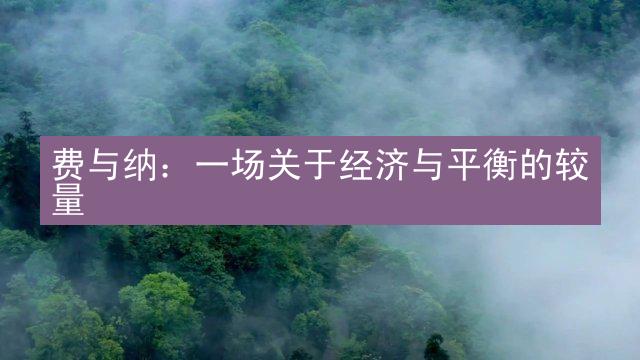 费与纳：一场关于经济与平衡的较量