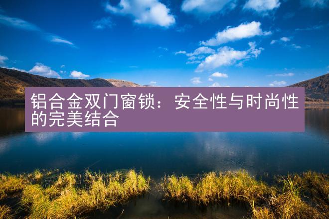 铝合金双门窗锁：安全性与时尚性的完美结合