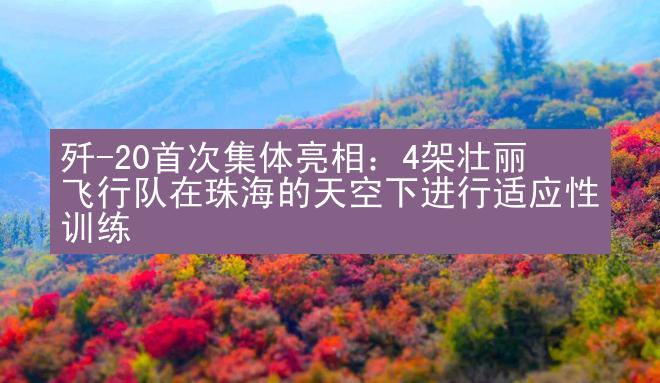 歼-20首次集体亮相：4架壮丽飞行队在珠海的天空下进行适应性训练