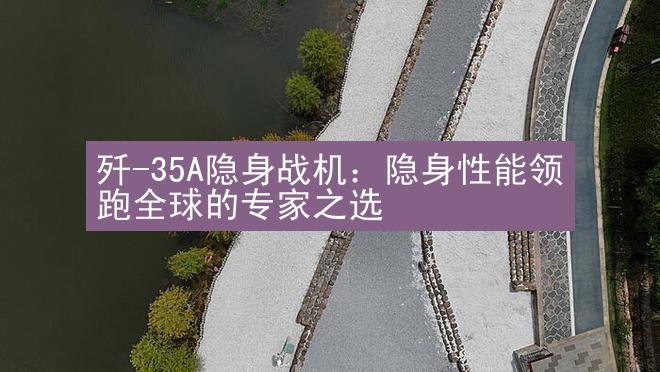 歼-35A隐身战机：隐身性能领跑全球的专家之选