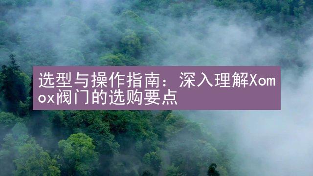 选型与操作指南：深入理解Xomox阀门的选购要点