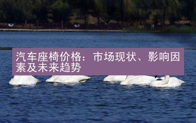 汽车座椅价格：市场现状、影响因素及未来趋势