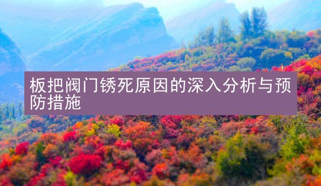 板把阀门锈死原因的深入分析与预防措施