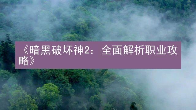 《暗黑破坏神2：全面解析职业攻略》