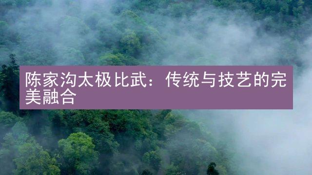 陈家沟太极比武：传统与技艺的完美融合