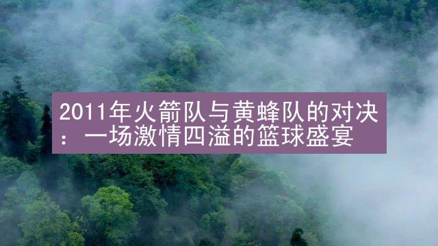 2011年火箭队与黄蜂队的对决：一场激情四溢的篮球盛宴