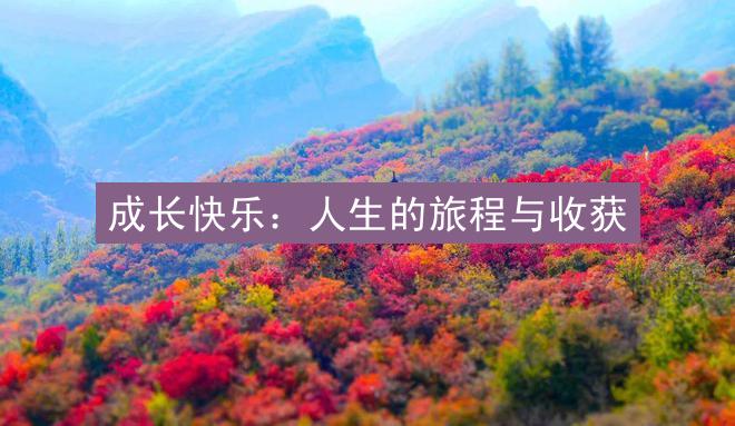 成长快乐：人生的旅程与收获