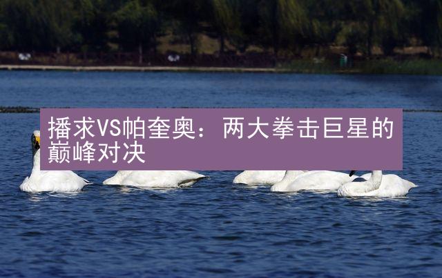 播求VS帕奎奥：两大拳击巨星的巅峰对决