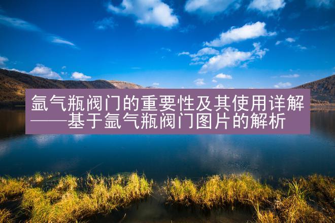 氩气瓶阀门的重要性及其使用详解——基于氩气瓶阀门图片的解析