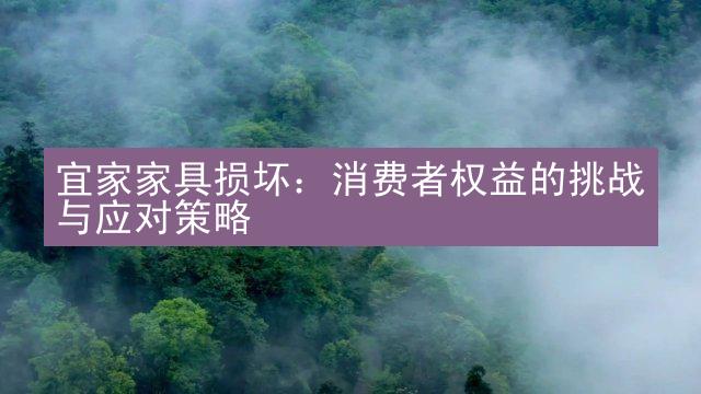 宜家家具损坏：消费者权益的挑战与应对策略