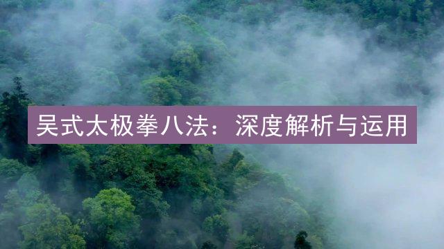 吴式太极拳八法：深度解析与运用