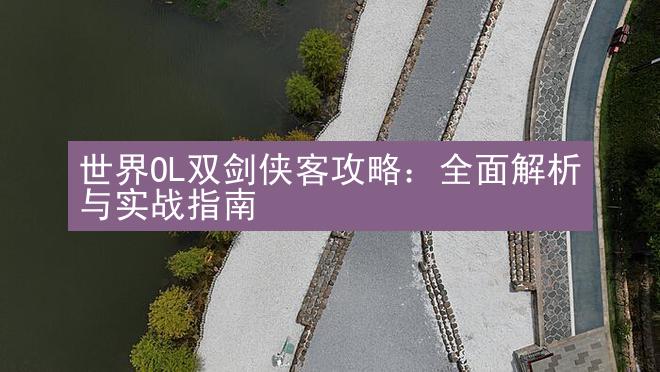 世界OL双剑侠客攻略：全面解析与实战指南