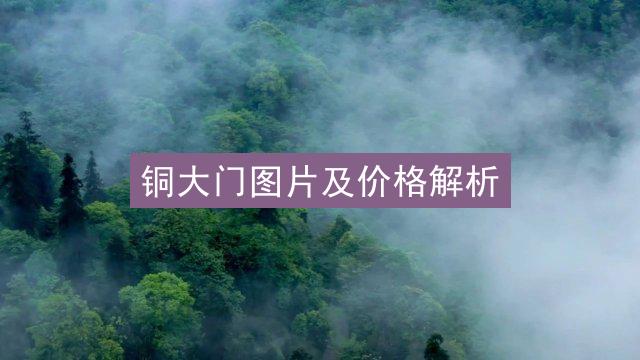 铜大门图片及价格解析