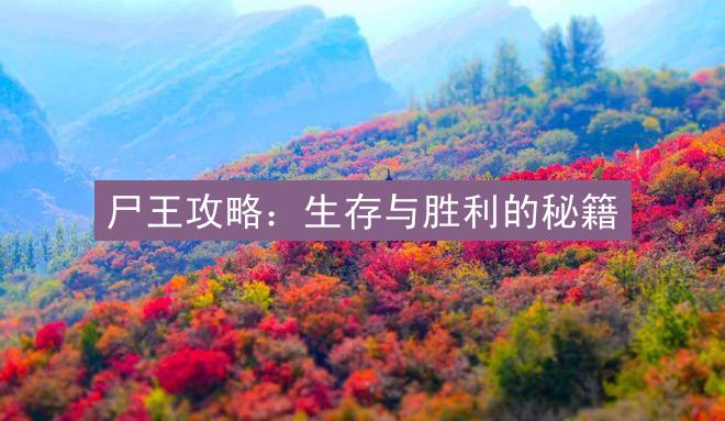 尸王攻略：生存与胜利的秘籍