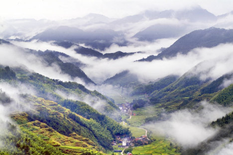 村民家中突发地陷现象，大坑现身，全村受灾达20多处