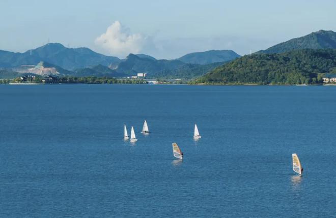 目：《流量新浪潮：泼天流量与花农的交汇与绽放》